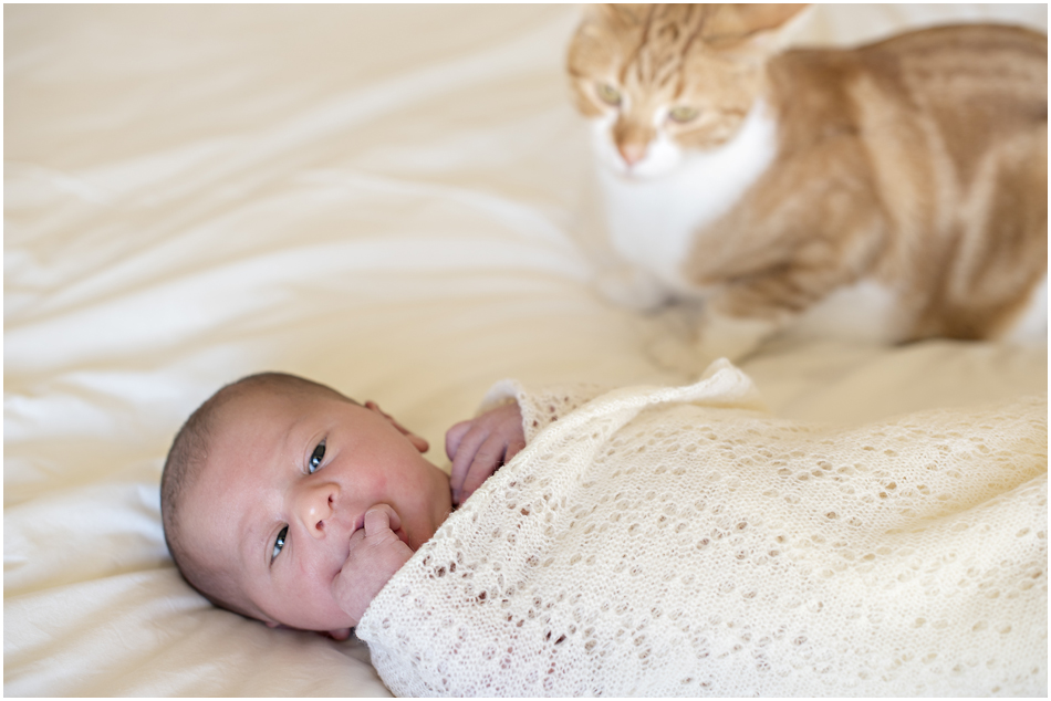 Camden Newborn Photographer, Camden Family Photographer, www.angieduncan.com.au